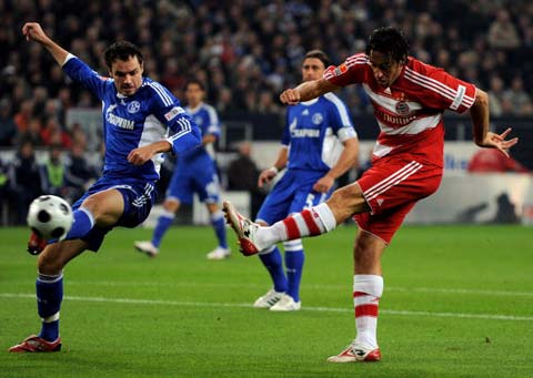 希望能在本 希望能在本